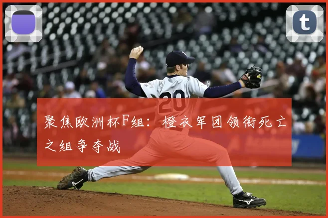 聚焦欧洲杯F组:橙衣军团领衔死亡之组争夺战